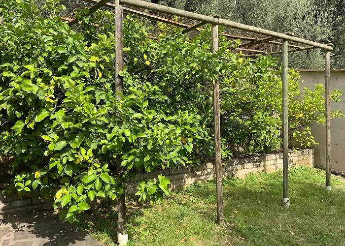 Dei Limoni Malcesine