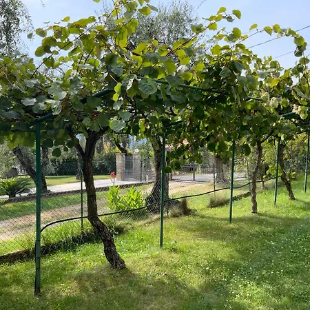Apartment Dei Limoni